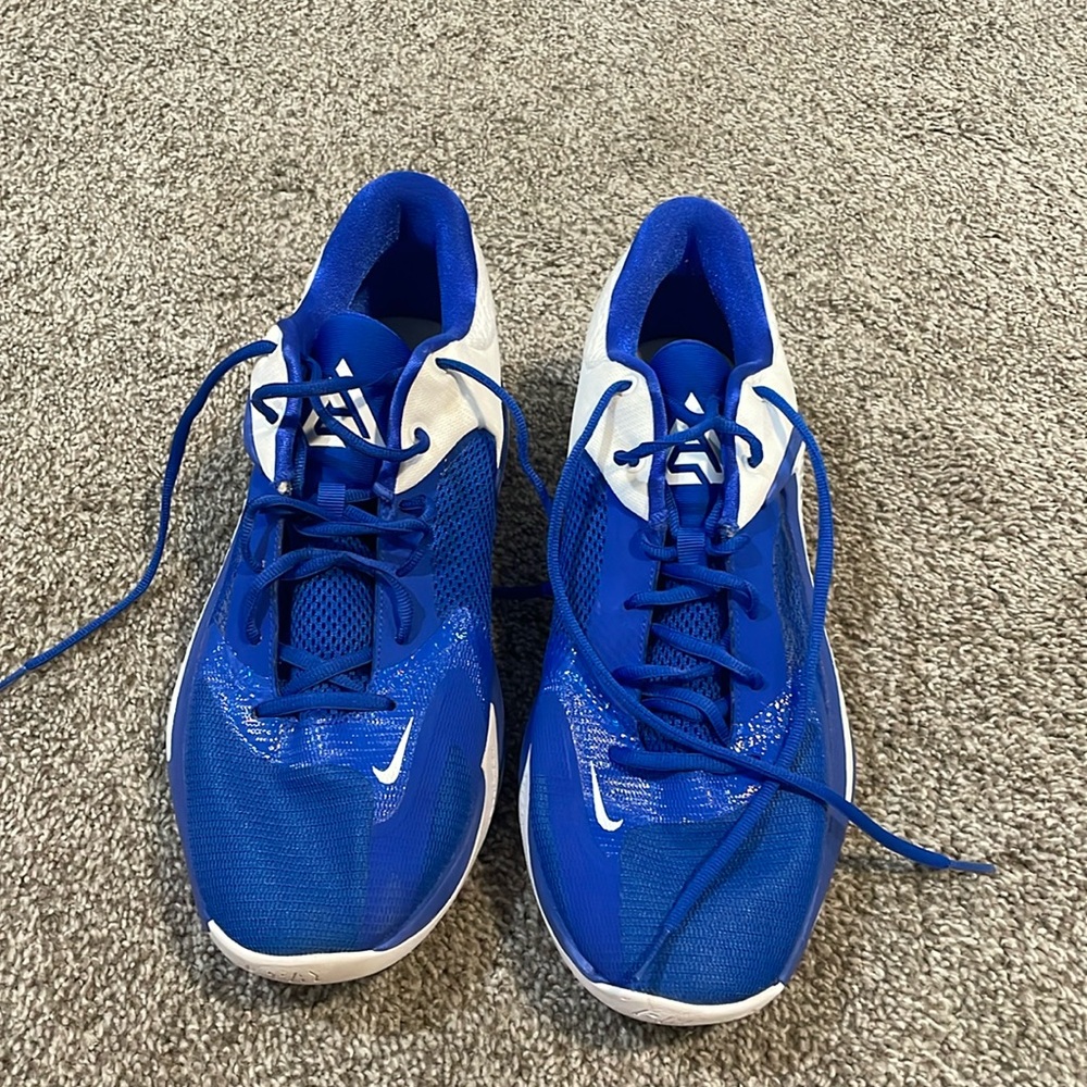 Nike Zoom Freak 1 Giannis Basketball Shoe
